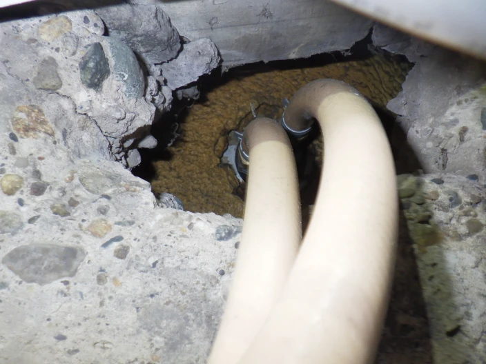 ネズミの侵入口を確認