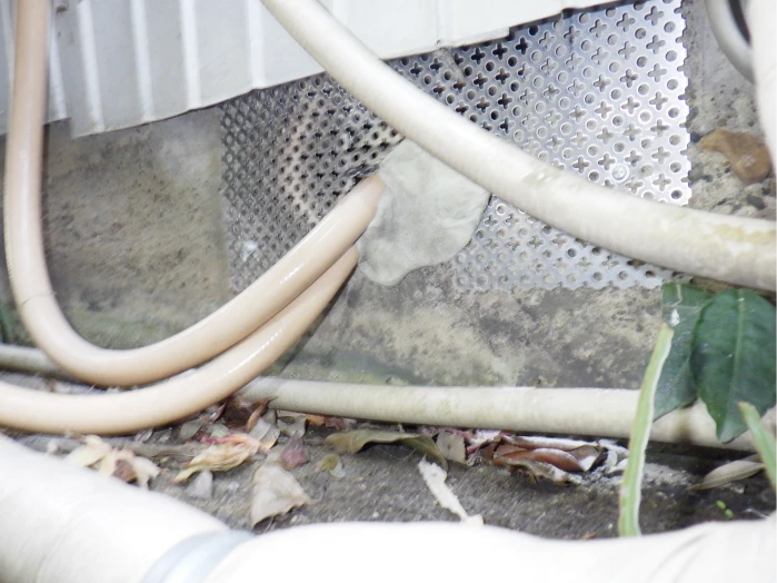 ネズミ侵入口をしっかりと封鎖